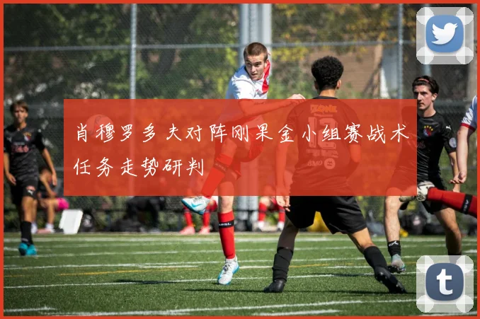 肖穆罗多夫对阵刚果金小组赛战术任务走势研判