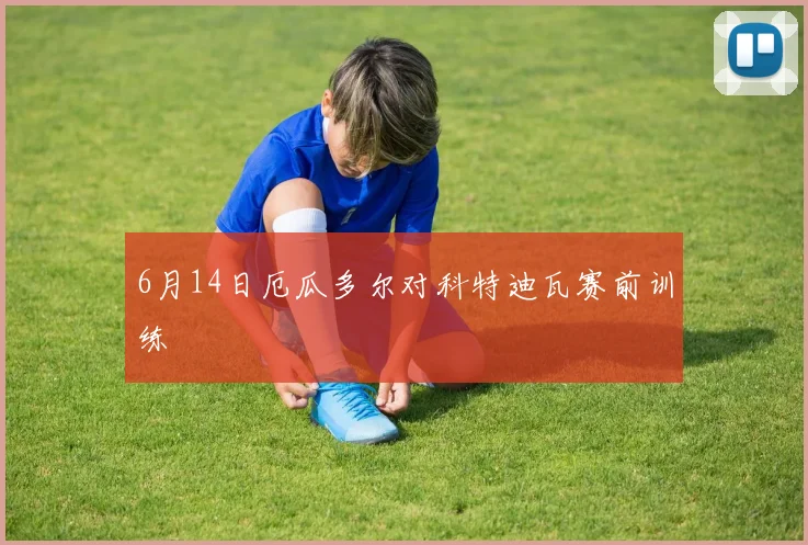 6月14日厄瓜多尔对科特迪瓦赛前训练