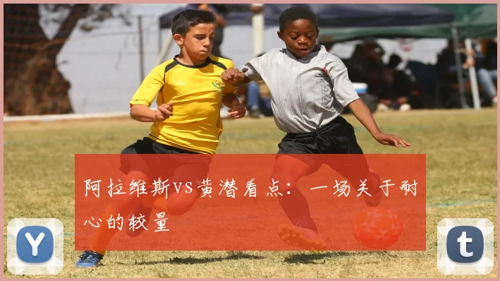 阿拉维斯vs黄潜看点：一场关于耐心的较量