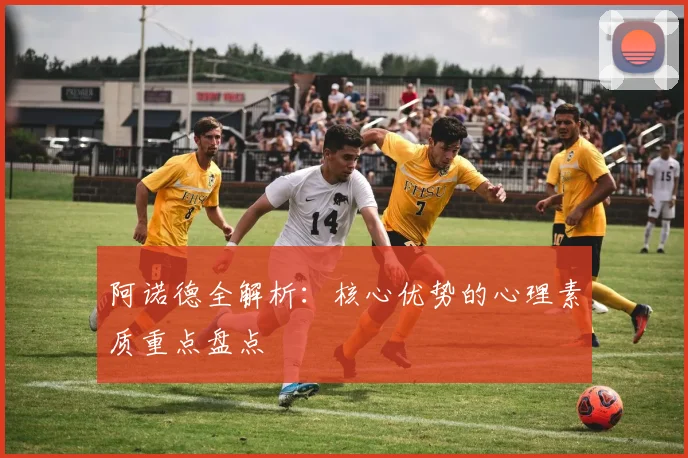 阿诺德全解析:核心优势的心理素质重点盘点