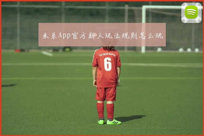 米乐App官方新人玩法规则怎么玩