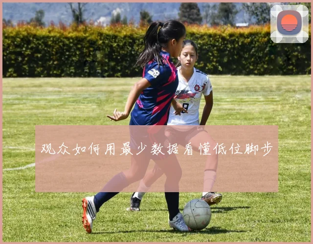 观众如何用最少数据看懂低位脚步